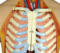 Biology Lab Equipments
